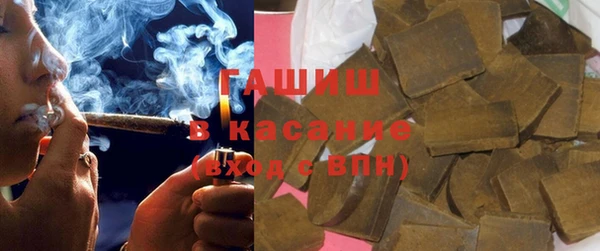 индика Арсеньев