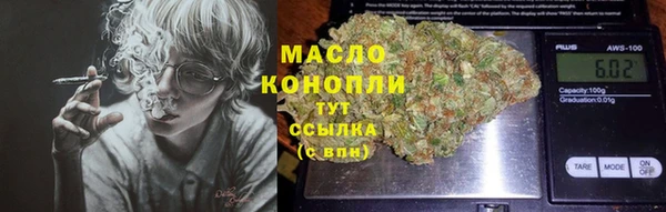 индика Арсеньев