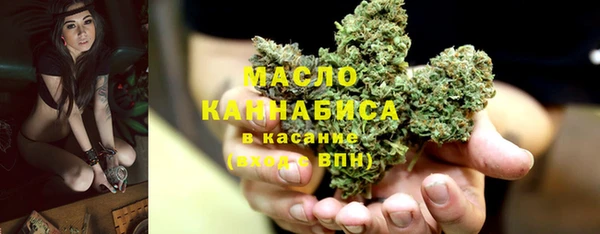 индика Арсеньев