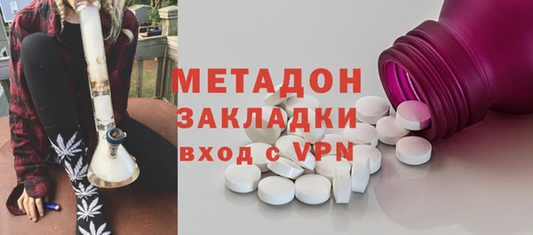 индика Арсеньев