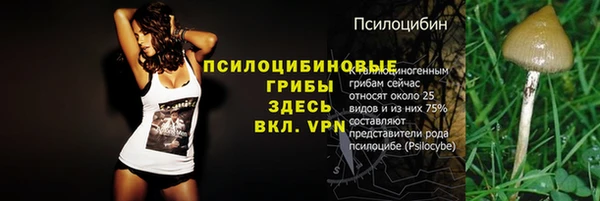 индика Арсеньев