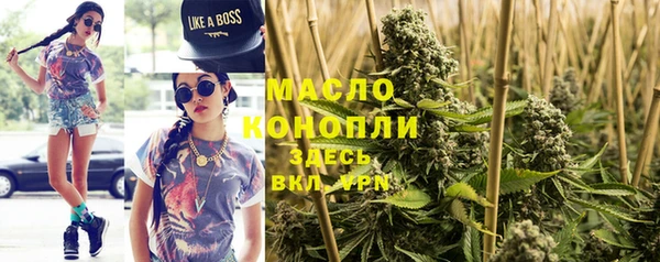 индика Арсеньев