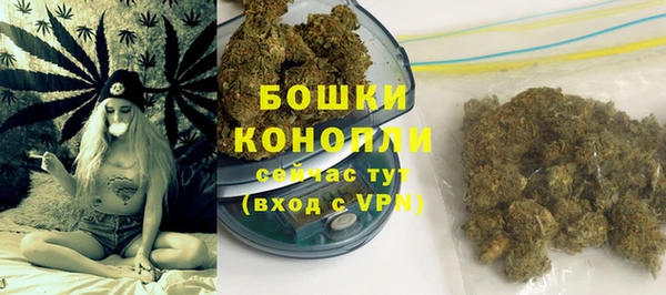гидра Покровск