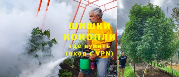 spice Аркадак