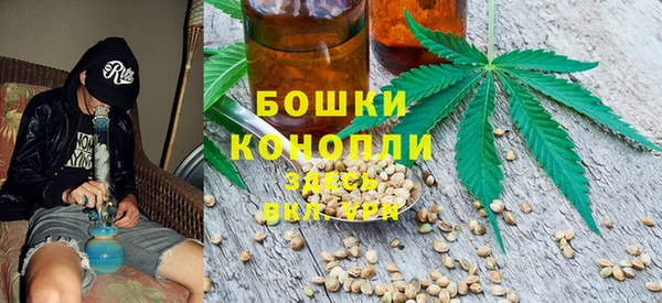 индика Арсеньев