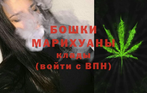 spice Аркадак