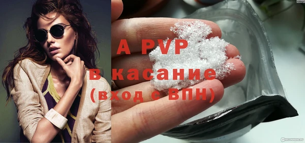 индика Арсеньев