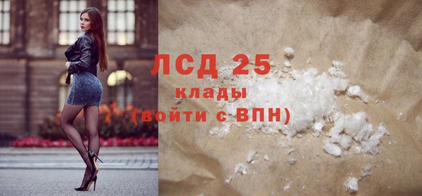 spice Аркадак