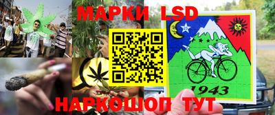 кокс Аргун