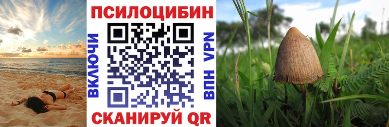 Галлюциногенные грибы MAGIC MUSHROOMS  Асбест 